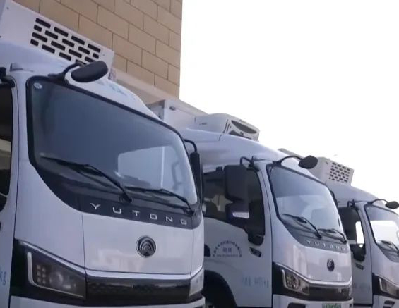 2.21万亿元、同比增长4.0% 我国一季度冷链物流需求稳中有升